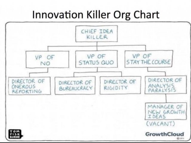 org_structure.jpg, 42 KB